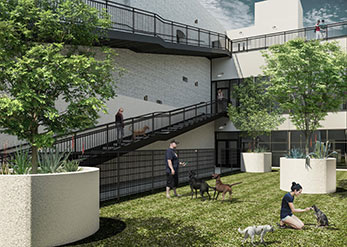 Animal Care & Control